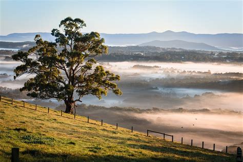 yarra ranges council payment.